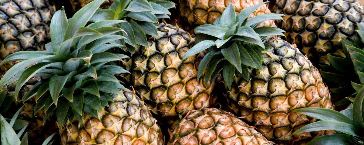 Ananas
