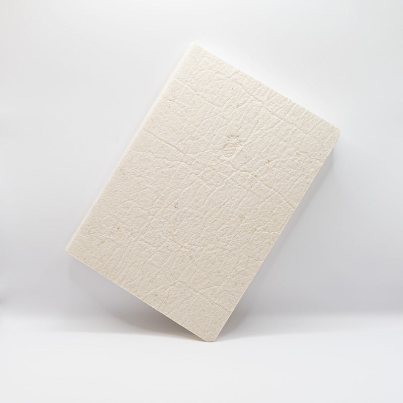 Ananas Notizbuch Pina Colada