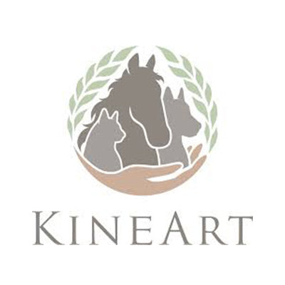 Logo Kineart