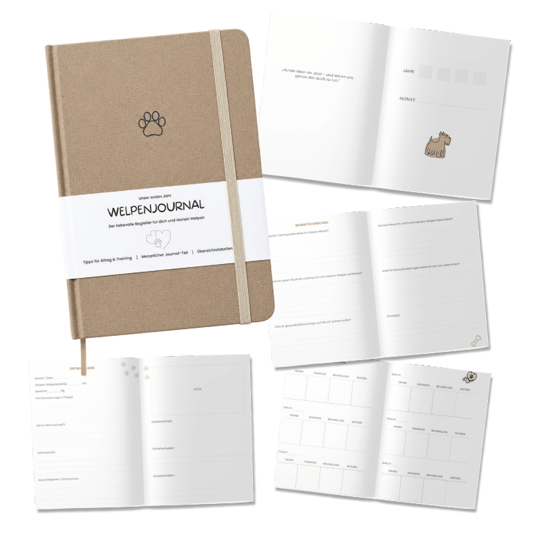 Welpenjournal - Unser erstes Jahr